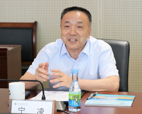 宁凌教授